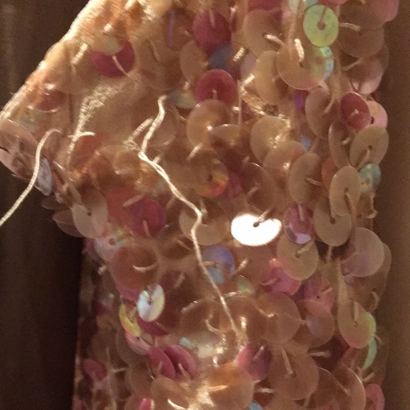 BCBG Maxazria sequin soft pink/plum lovely dress size10 silk needs some mending - Picture 5 of 14